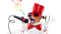 Karaoke hunden